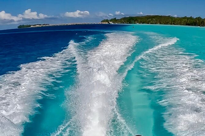 Crazyseahorseborabora Comfortable boat , sensational snorkeling . - Weather, cancellations, and planning your day