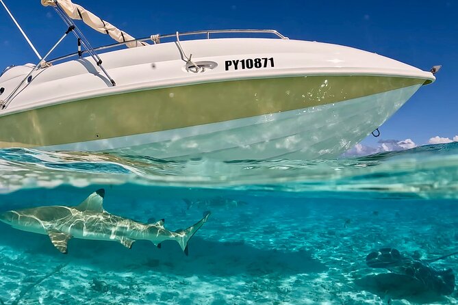 Crazyseahorseborabora Comfortable boat , sensational snorkeling . - First water stops: sharks and rays