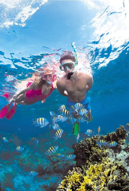 Crete: Coastline Snorkeling Cruise from Hersonissos Port - Swimming And Snorkeling At Saint George Beach