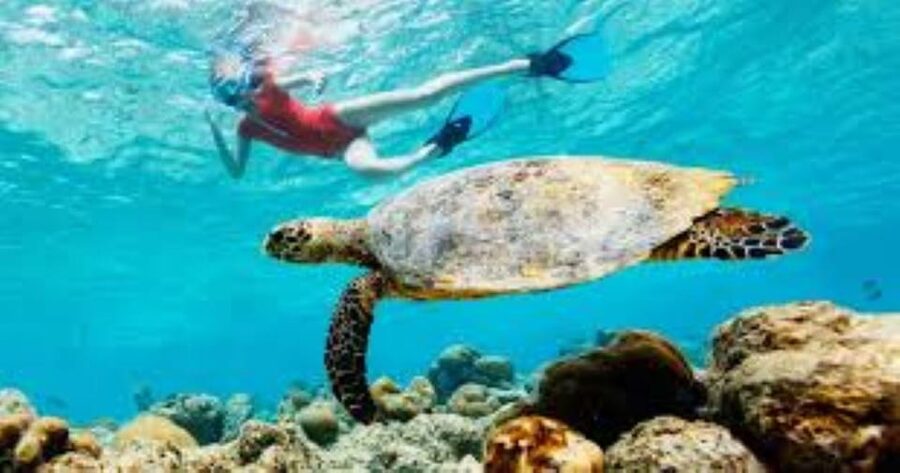 Crete: Coastline Snorkeling Cruise from Hersonissos Port - A Simple Boat Ride, Not A Full Sailing Day