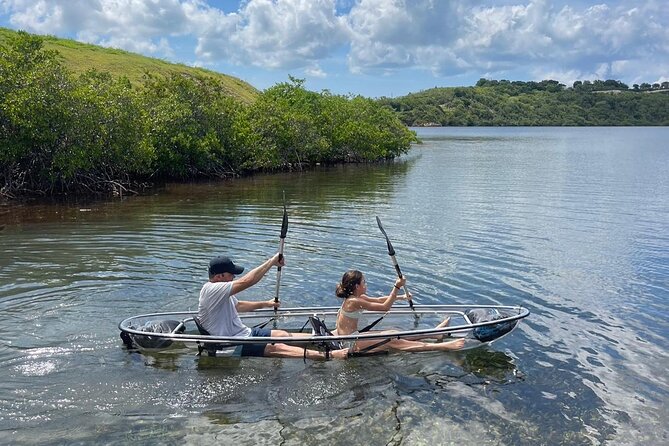 Crystal Kayak & Snorkel Eco Tour (with transfer) - Why the clear kayak makes this Antigua tour different