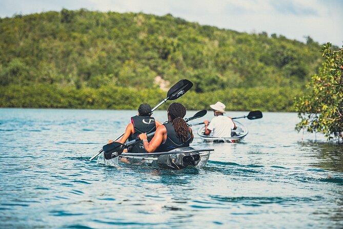 Crystal Kayak & Snorkel Eco Tour (with transfer) - Snorkeling: the best and weakest part can vary