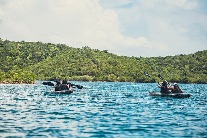 Crystal Kayak & Snorkel Eco Tour (with transfer) - What $89 includes in practical terms