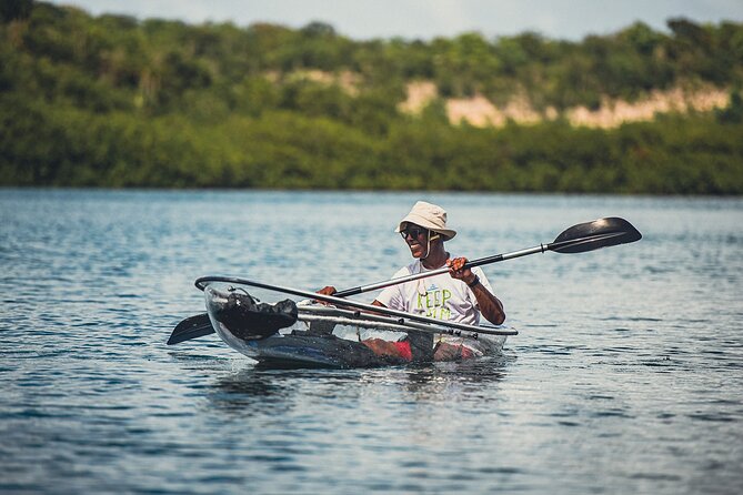 Crystal Kayak & Snorkel Eco Tour (with transfer) - Who will enjoy this morning most