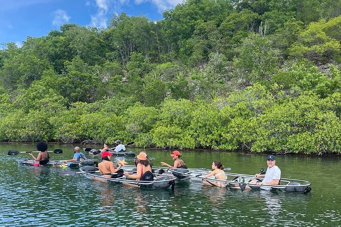Crystal Kayak & Snorkel Eco Tour (with transfer) - Starting at Willikies and getting onto the water