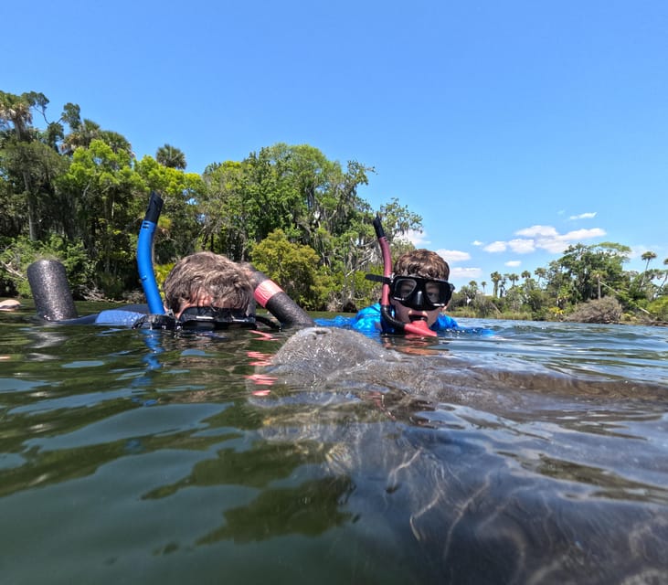 Crystal River: Guided Manatee Snorkeling Tour - Practical Tips for a Better Morning