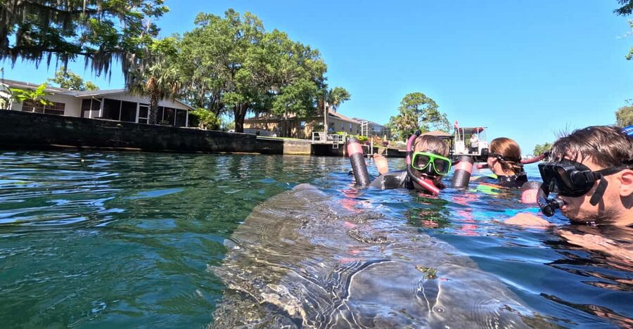 Crystal River: Guided Manatee Snorkeling Tour - Checking In Across From the Post Office