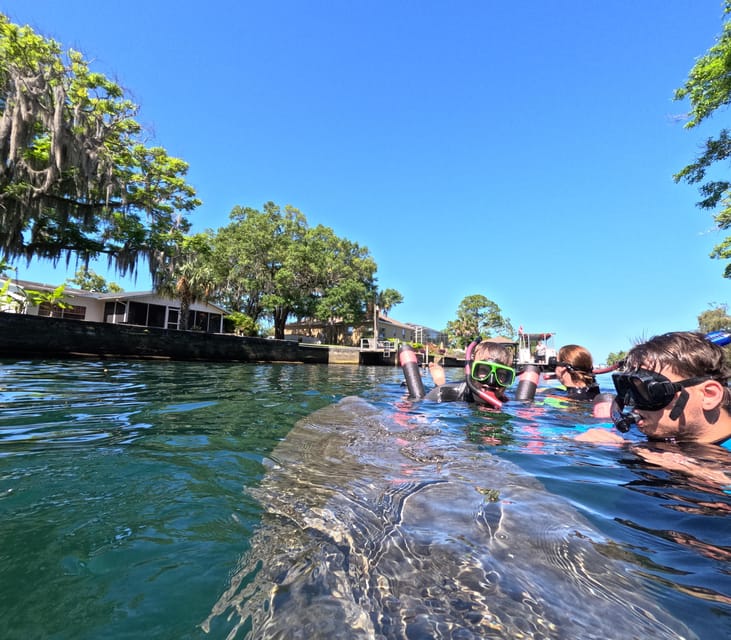 Crystal River: Guided Manatee Snorkeling Tour - Meeting the Manatees Respectfully