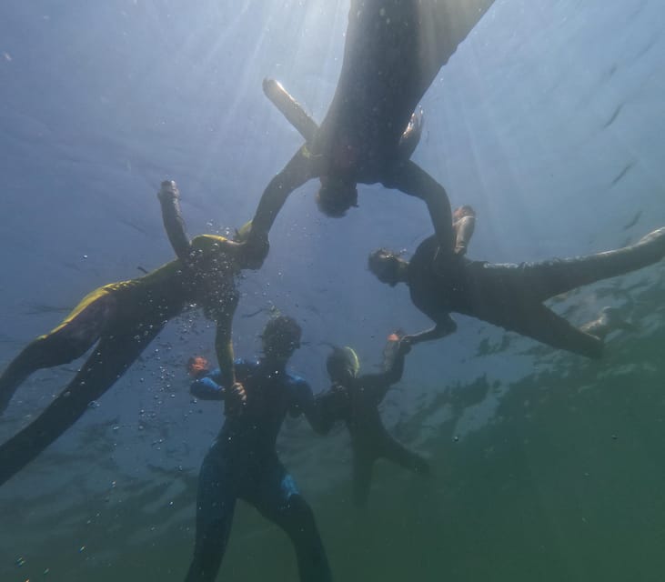 Crystal River: Guided Manatee Snorkeling Tour - Who Will Enjoy This Most?