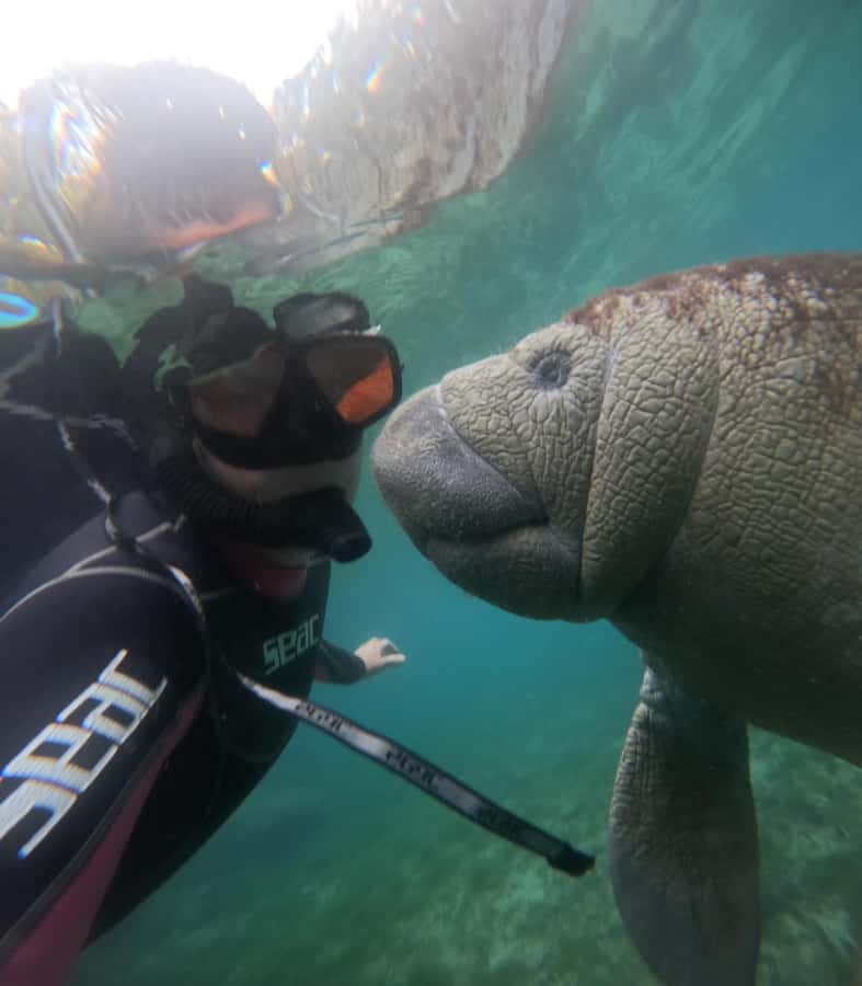 Crystal River: Guided Manatee Snorkeling Tour with Photos - Photos, Video, and the Manatee King
