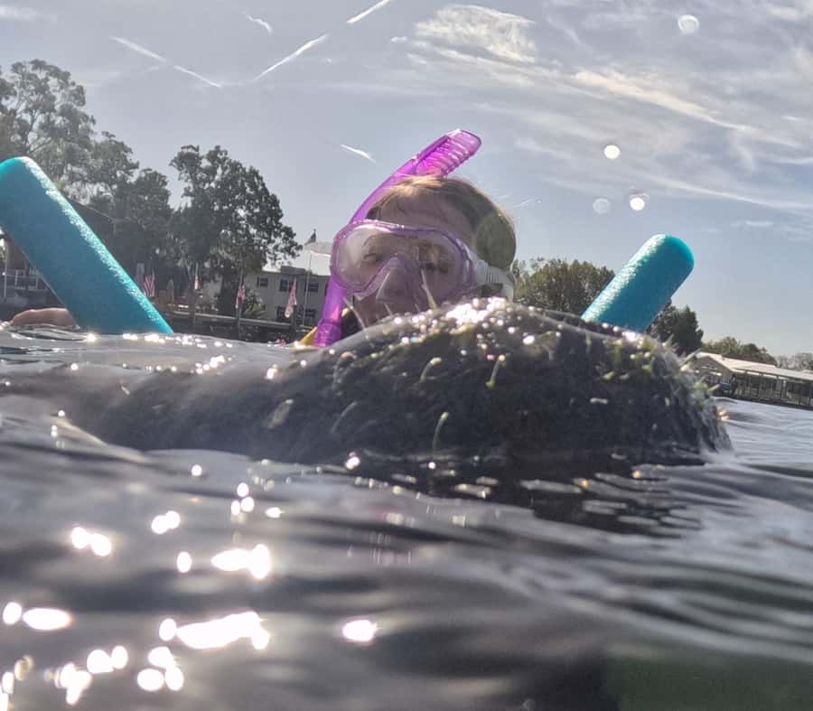 Crystal River: Guided Manatee Snorkeling Tour with Photos - Who Will Enjoy This Most