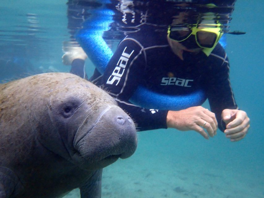 Crystal River: Manatee Snorkel Tour w/ In-Water Photographer - Key things to know before you book
