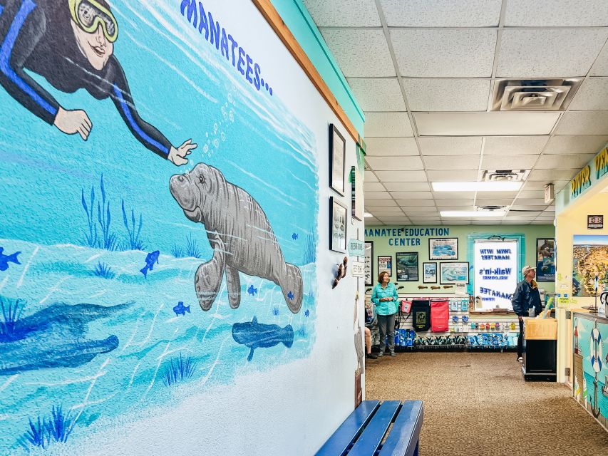 Crystal River: Manatee Snorkel Tour w/ In-Water Photographer - Why Crystal River is the right place for manatees