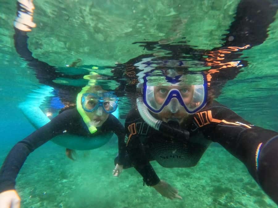 Crystal River: Small-Group Manatee Snorkeling Tour - Key details before you book