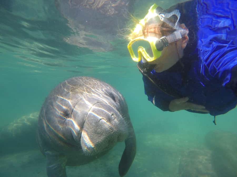 Crystal River: Small-Group Manatee Snorkeling Tour - A small boat makes a real difference