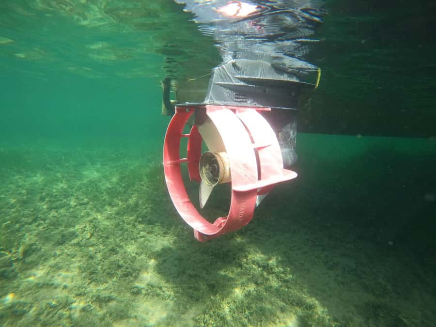 Crystal River: Small-Group Manatee Snorkeling Tour - Photos turn a brief encounter into a lasting memory