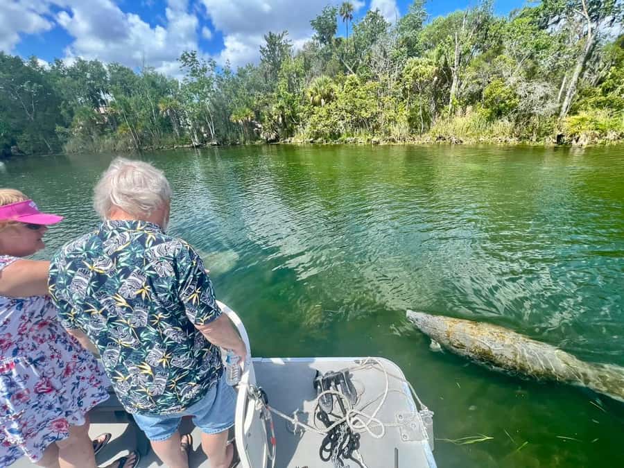 Crystal River: Small-Group Manatee Snorkeling Tour - Meeting the boat at Paddle Tail Lodge