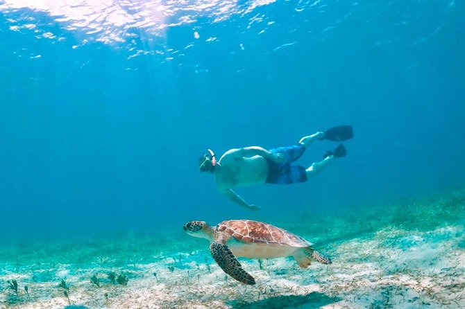 Culebra Snorkel and Turtle Adventure with Transport - Tamarindo Beach and the Luis Peña Marine Reserve
