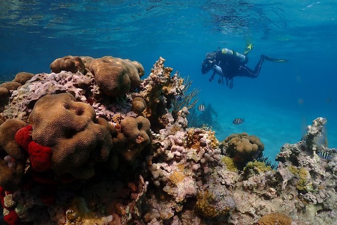 Culebra Snorkeling and beach Day Experience by boat - The First Reef Stop Near Culebra