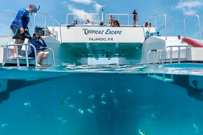 Culebra Snorkeling Tour by Catamaran from Fajardo - The 50-minute ride from Fajardo to Culebra