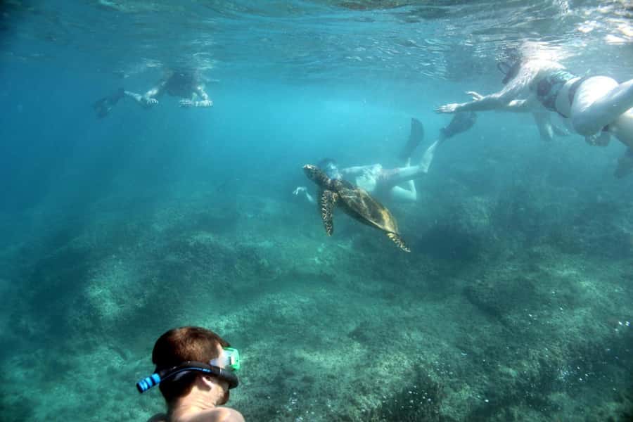 Curieuse Guided Tour, St Pierre, BBQ & 2 Snorkel Stops - Starting with hotel pickup on Praslin