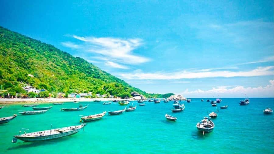 Da Nang/Hoi An:Explore Cham Island and Snorkeling tour 1 Day - Snorkeling at Bãi Xêp or Hòn Tai