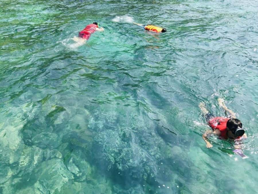 Da Nang/Hoi An:Explore Cham Island and Snorkeling tour 1 Day - How much value do you get for $34?