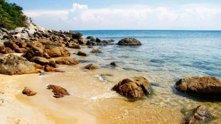 Da Nang/Hoi An:Explore Cham Island and Snorkeling tour 1 Day - What to pack and what to leave behind