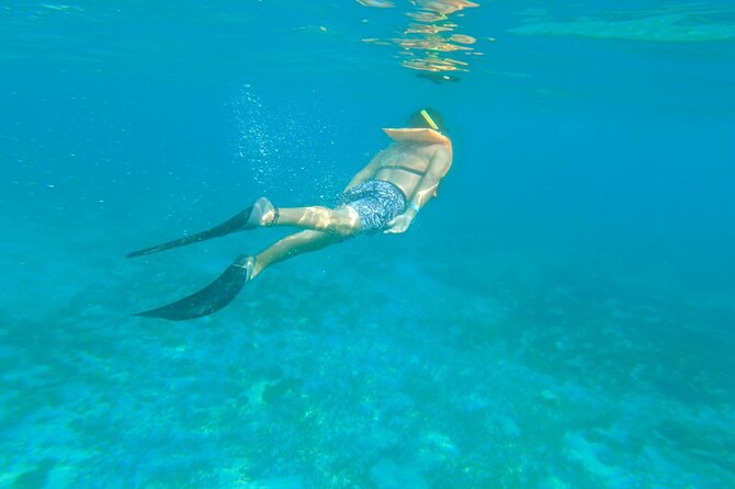 Dancer Cruise Isla Mujeres Snorkel Food and Drinks Included - Who Will Enjoy This Cruise Most?