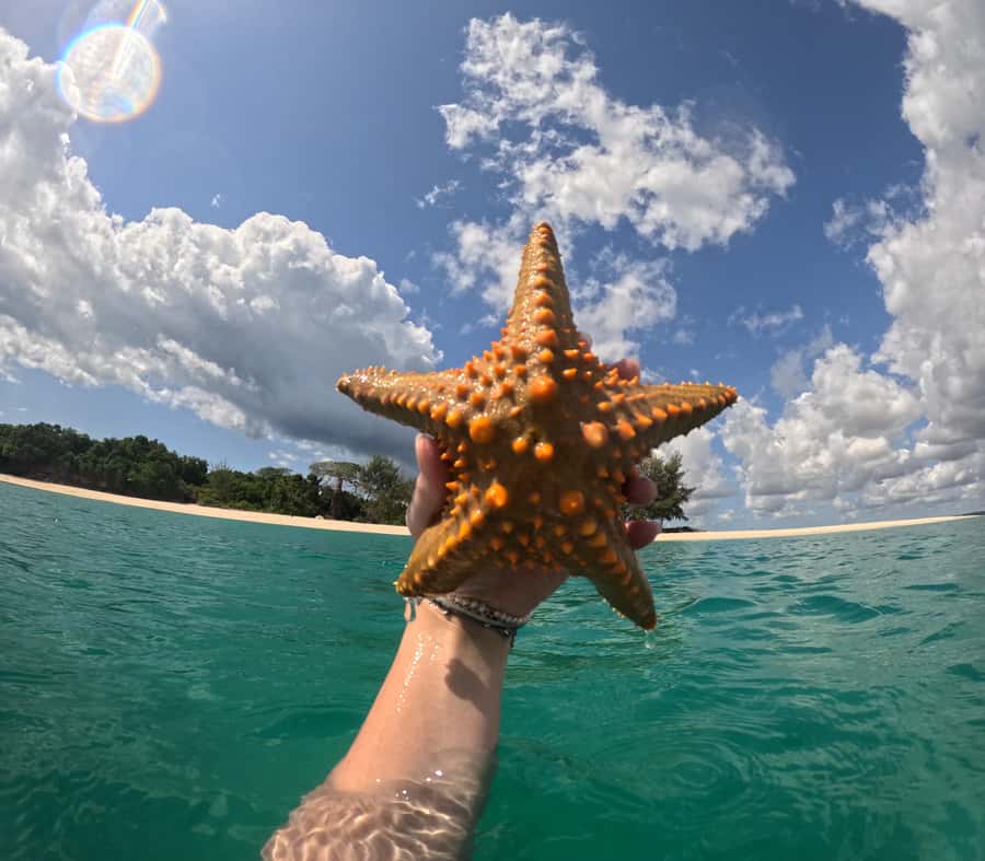 DAR ES SALAAM:BONGOYO ISLAND SNORKELING TOUR & BEACH ESCAPE - Lunch at the island café