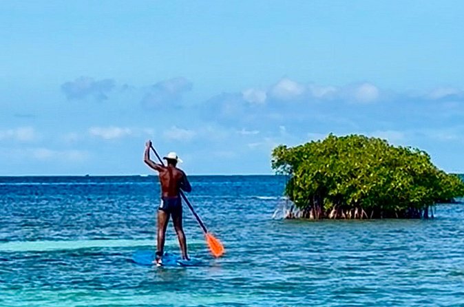 Day Lagoon 100% Sailing stops Snorkelling Paddle - What the $113.37 price gets you