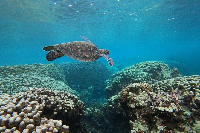 Daymaniyat Islands Snorkeling Sharing Trip - The boat ride to the Daymaniyat Islands