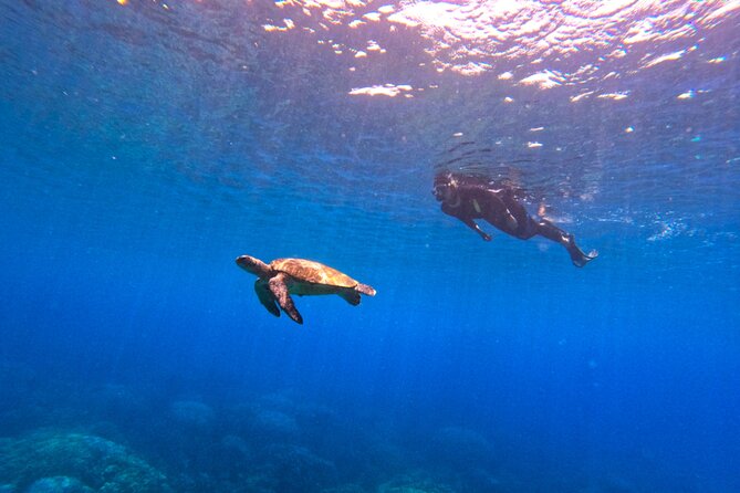 Daymaniyat Islands Snorkeling Sharing Trip - Snacks, drinks, and the practical details