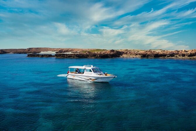 Daymaniyat Islands Snorkeling Sharing Trip - Is $106 per person good value?