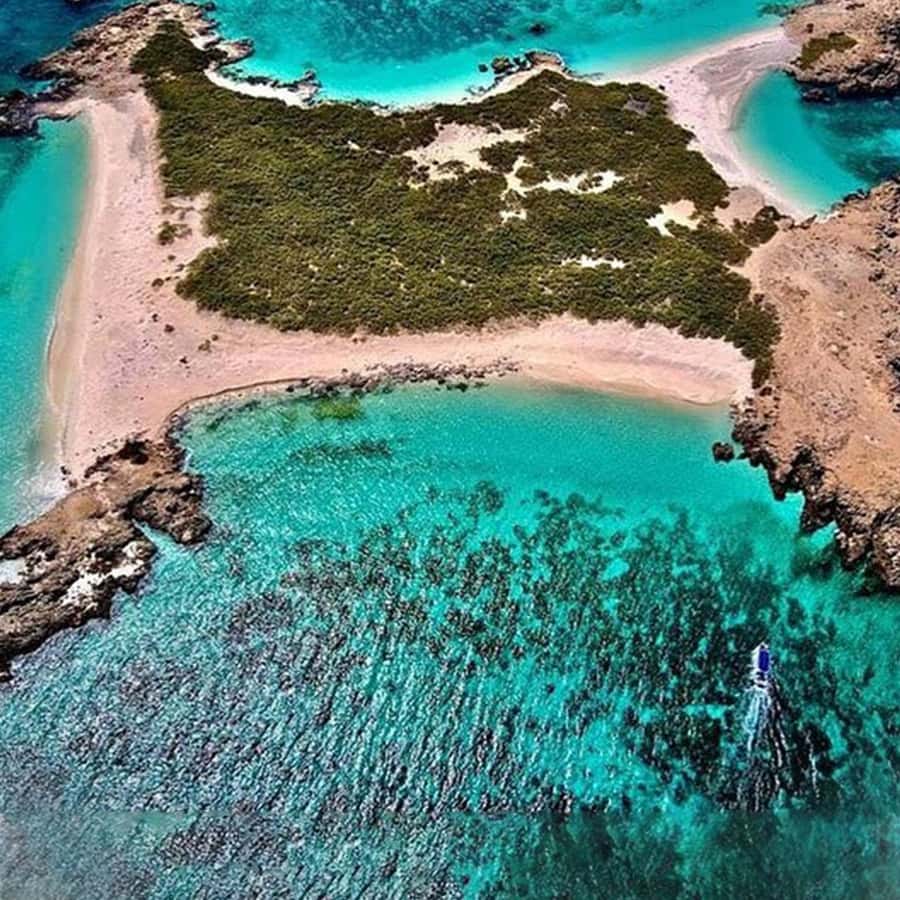 Daymaniyat Islands Snorkeling with Picnic Lunch - Booking Tips For A Smoother Day