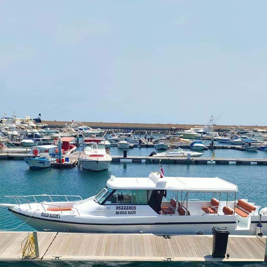 Daymaniyat Islands Snorkeling with Picnic Lunch - Should You Book The Daymaniyat Islands Trip?