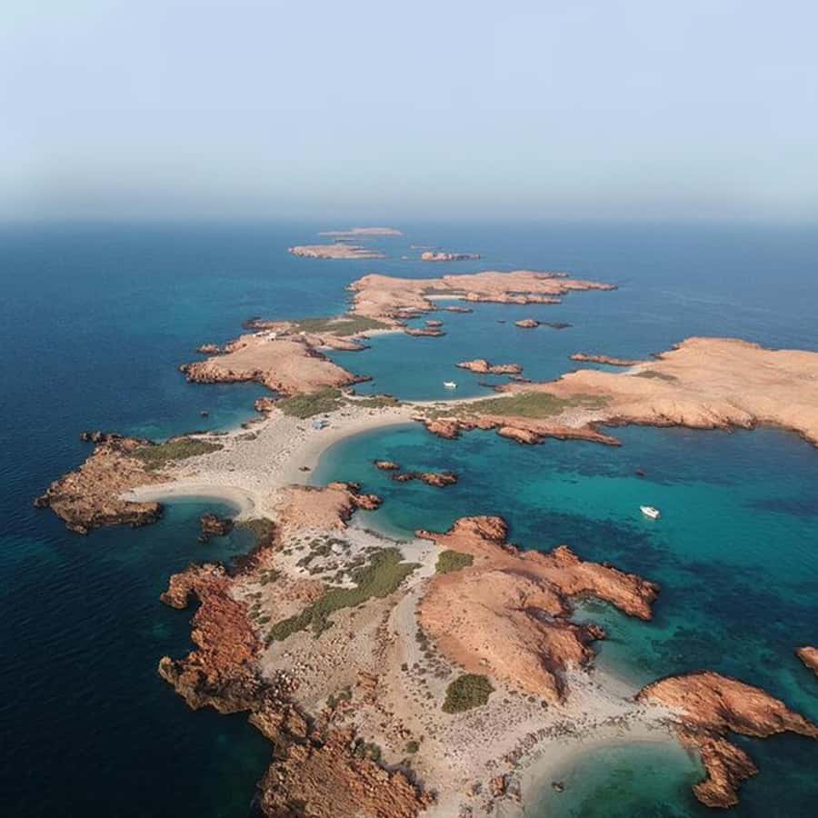 Daymaniyat Islands Snorkeling with Picnic Lunch - FAQ