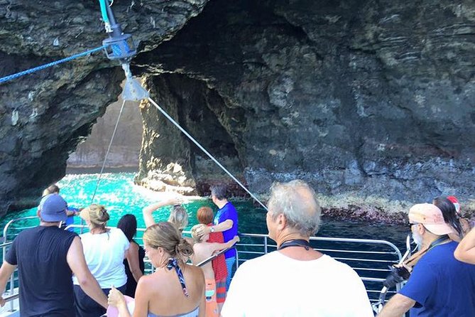 Deluxe Na Pali Morning Snorkel Tour on the Lucky Lady - Snorkeling over a tropical reef