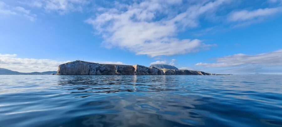 Denia: Cabo San Antonio Snorkeling Tour - What you may see beneath the surface