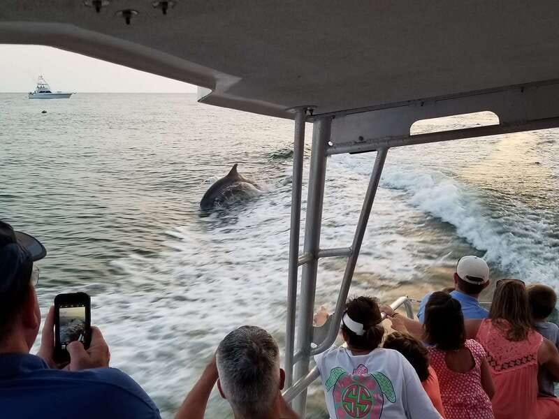 Destin: Snorkeling Cruise with 2 Stops and Dolphin Watching - Meeting at Destin Harbor