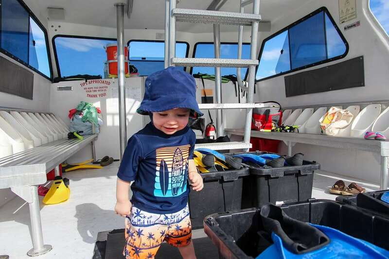 Destin: Snorkeling Cruise with 2 Stops and Dolphin Watching - Stop One: A Gentle Introduction to Snorkeling