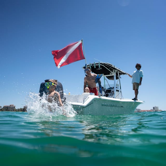 Destin: Snorkeling, Dolphins, and Crab Island - Key Points Before You Book