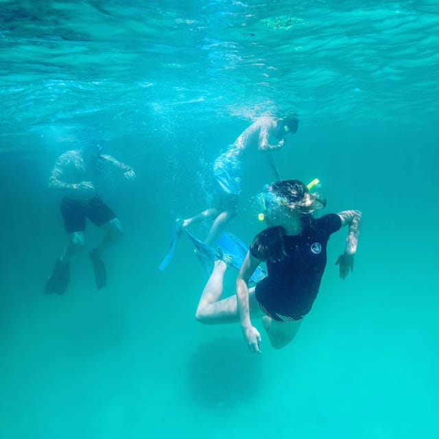 Destin: Snorkeling, Dolphins, and Crab Island - Why This Private Charter Works Better Than a Big Boat