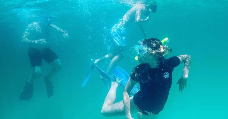Destin: Snorkeling, Dolphins, and Crab Island - Dolphin Watching Along the Emerald Coast