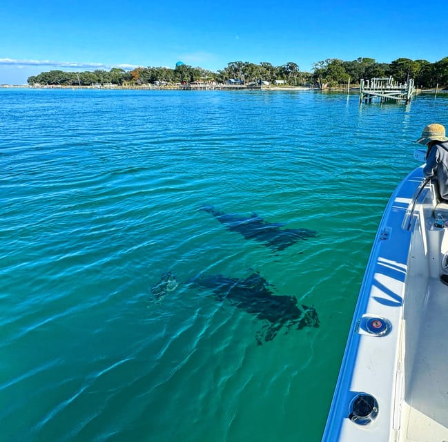 Destin: Snorkeling, Dolphins, and Crab Island - What a Three-Hour Plan Really Feels Like