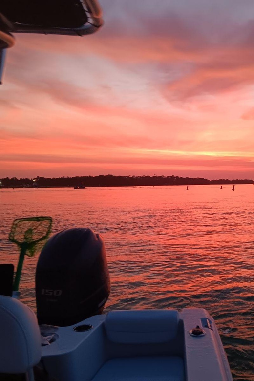 Destin: Snorkeling, Dolphins, and Crab Island - Captain Cory’s Role in the Experience