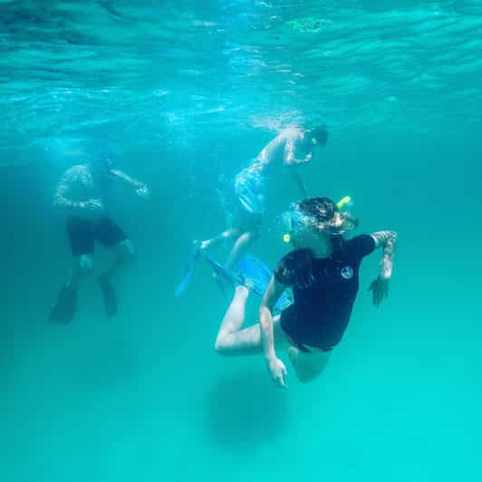 Destin: Snorkeling, Dolphins, and Crab Island - Leaving From 100 Old Ferry Road