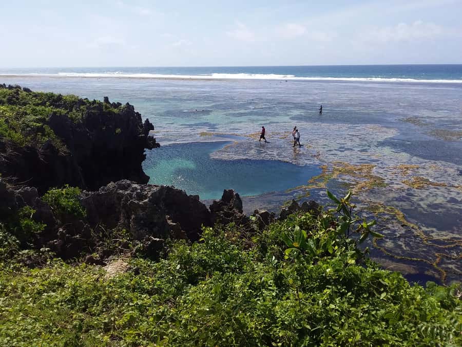 Diani: Snorkeling and Swimming at African Pool in Tiwi Beach - Returning to Tiwi Beach for Swahili snacks