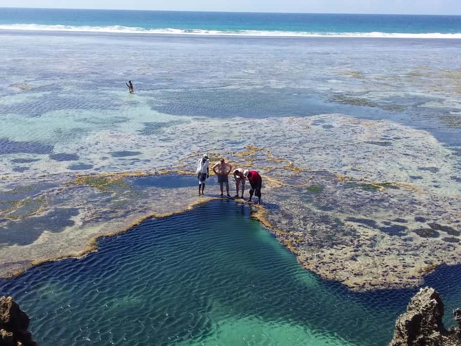 Diani: Snorkeling and Swimming at African Pool in Tiwi Beach - Who should book this Tiwi outing?
