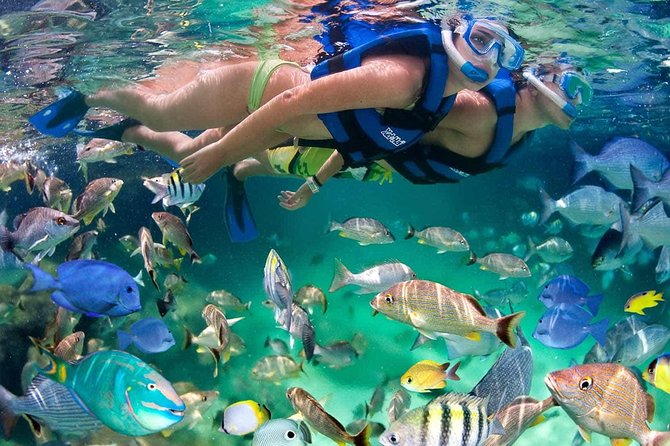 Discover Isla Mujeres tour with snorkel, buffet and open bar - Who will enjoy this boat trip most